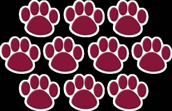 TCR5046 Maroon Paw Prints Accents Image