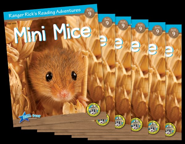 TCR53429 Ranger Rick's Reading Adventures: Mini Mice 6-Pack Image