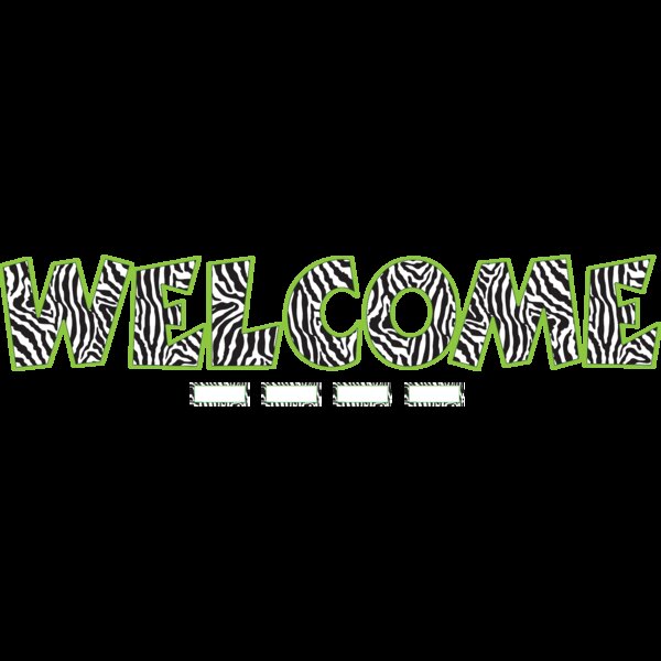 TCR5411 Zebra WELCOME Bulletin Board Display Set Image