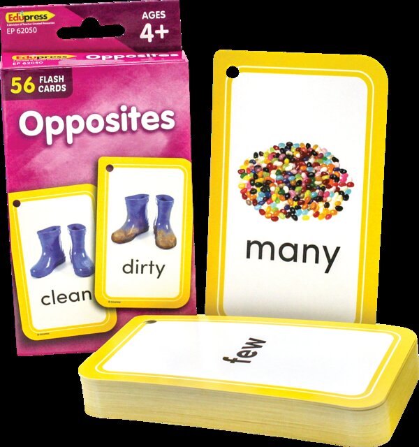 TCR62050 Opposites Flash Cards Image