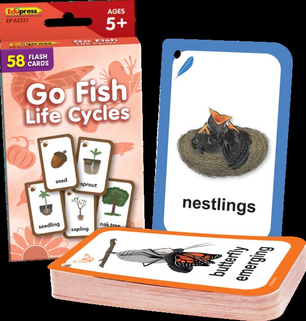 TCR62321 Go Fish: Life Cycles Flash Cards Image