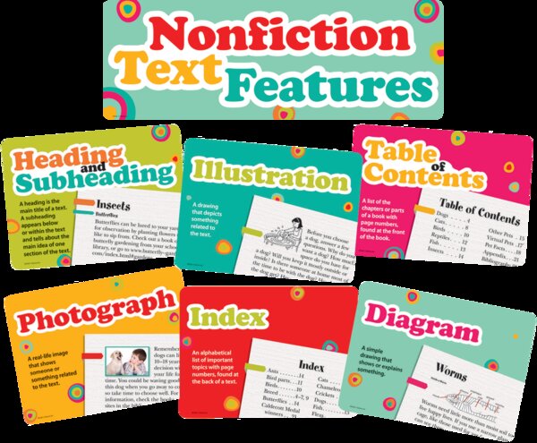 TCR62381 Nonfiction Text Features Bulletin Board Display Set Image