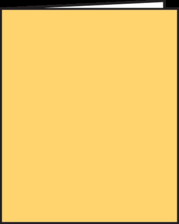 TCR62838 Yellow Blank Book Image