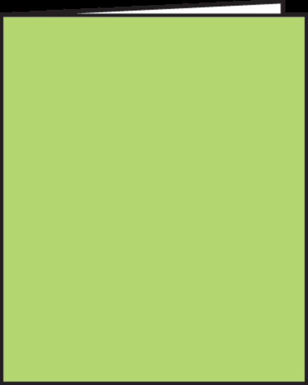 TCR62841 Green Blank Book Image