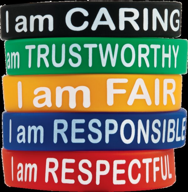 TCR6569 Character Traits Wristbands Image