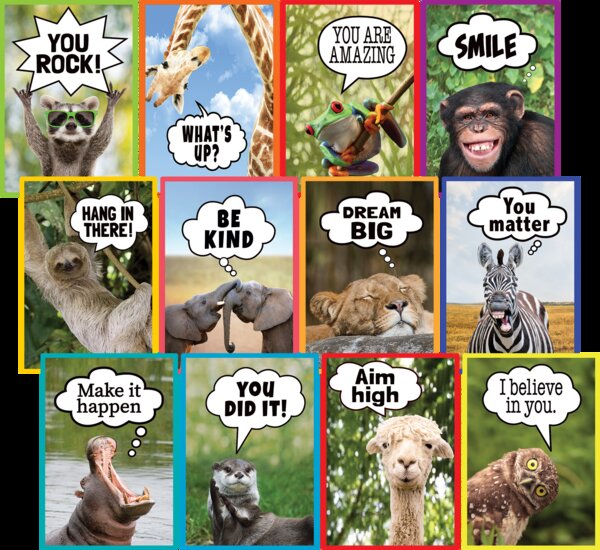 TCR6824 Go Wild Animals Small Poster Pack Image