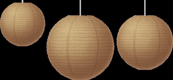 TCR77228 Burlap Paper Lanterns Image