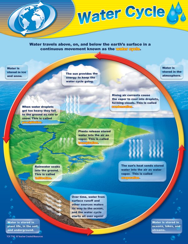 TCR7743 Water Cycle Chart Image