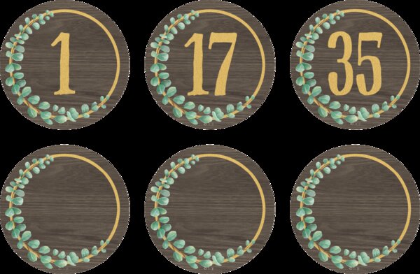 TCR77484 Eucalyptus Numbers Magnetic Accents Image