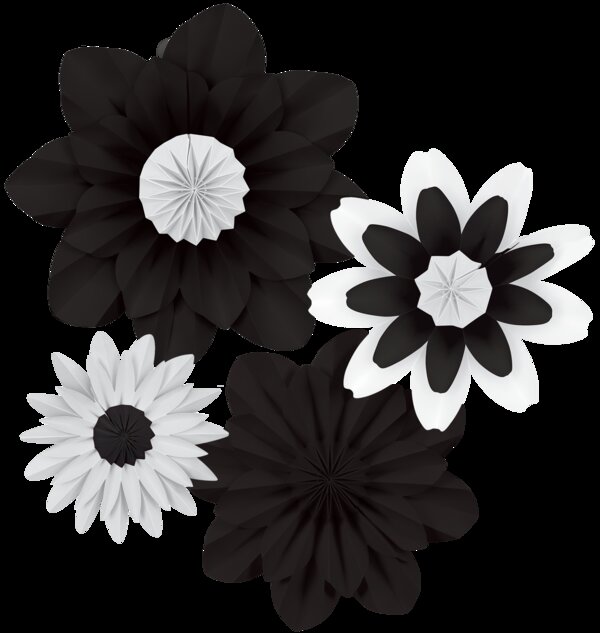 TCR8351 Black and White Paper Flowers Image