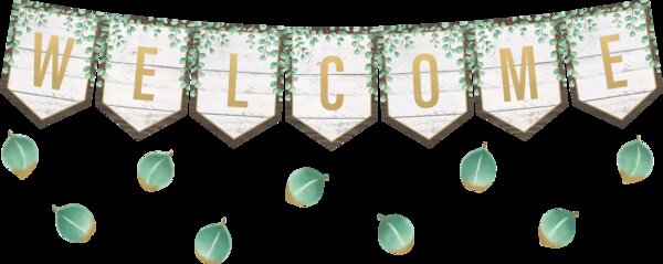 TCR8472 Eucalyptus Pennants Welcome Bulletin Board Image