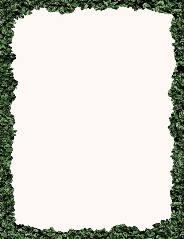 TCR8520 Modern Farmhouse Boxwood Computer Paper Image