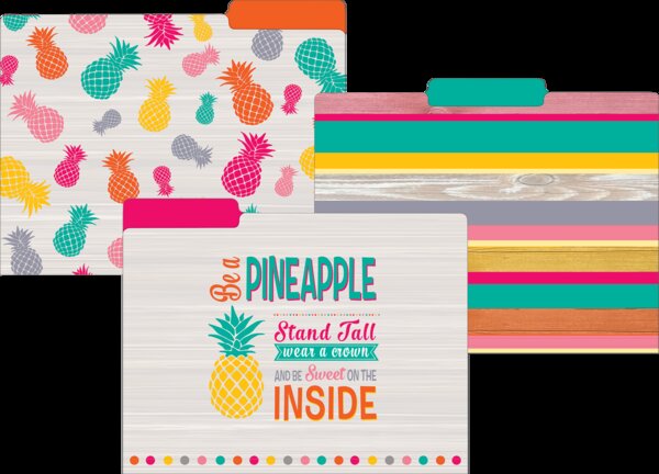 TCR8538 Tropical Punch File Folders Image