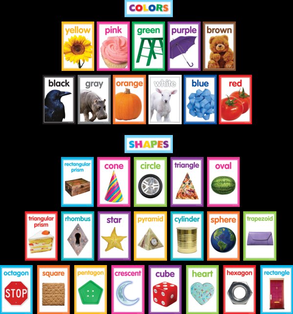 TCR8799 Colorful Photo Shapes & Colors Cards Bulletin Board Image