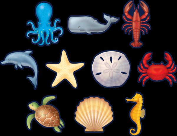 TCR8895 Nautical Sea Life Accents Image