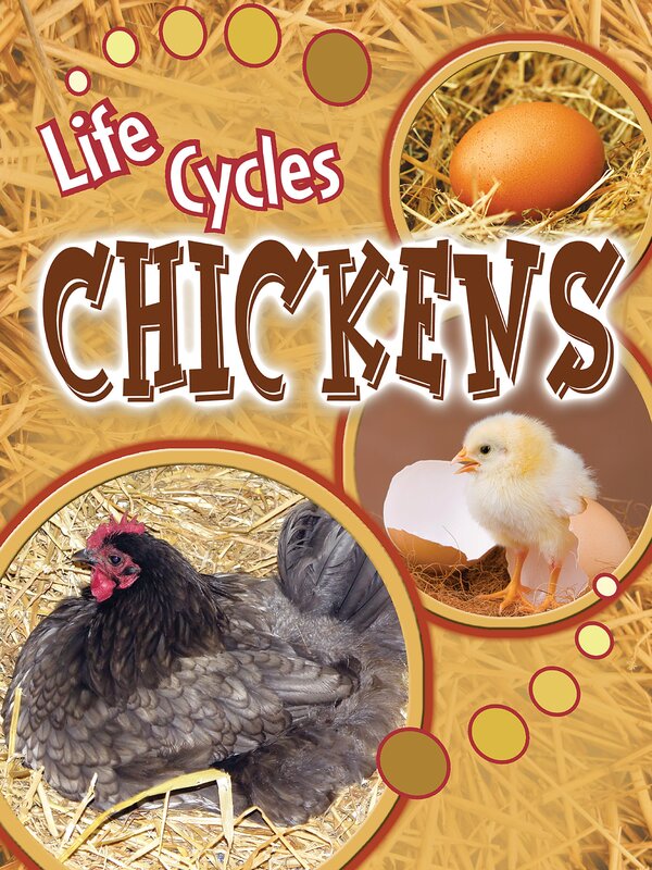 TCR905508 Chickens Image