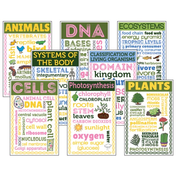 TCRCC3108 Life Science Chatter Charts Image