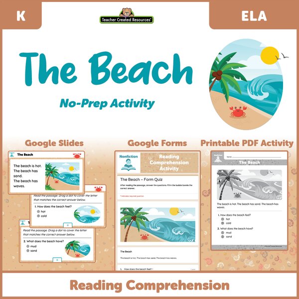 TCRGS10029 The Beach - Reading Comprehension Activity Google Slides Image