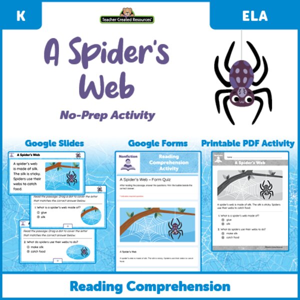 TCRGS10030 A Spider's Web - Reading Comprehension Activity Google Slides Image