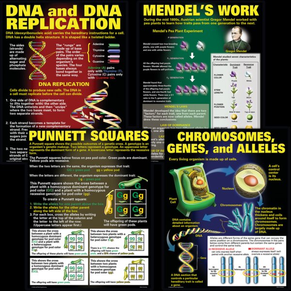 TCRP128 DNA & Heredity Poster Set Image