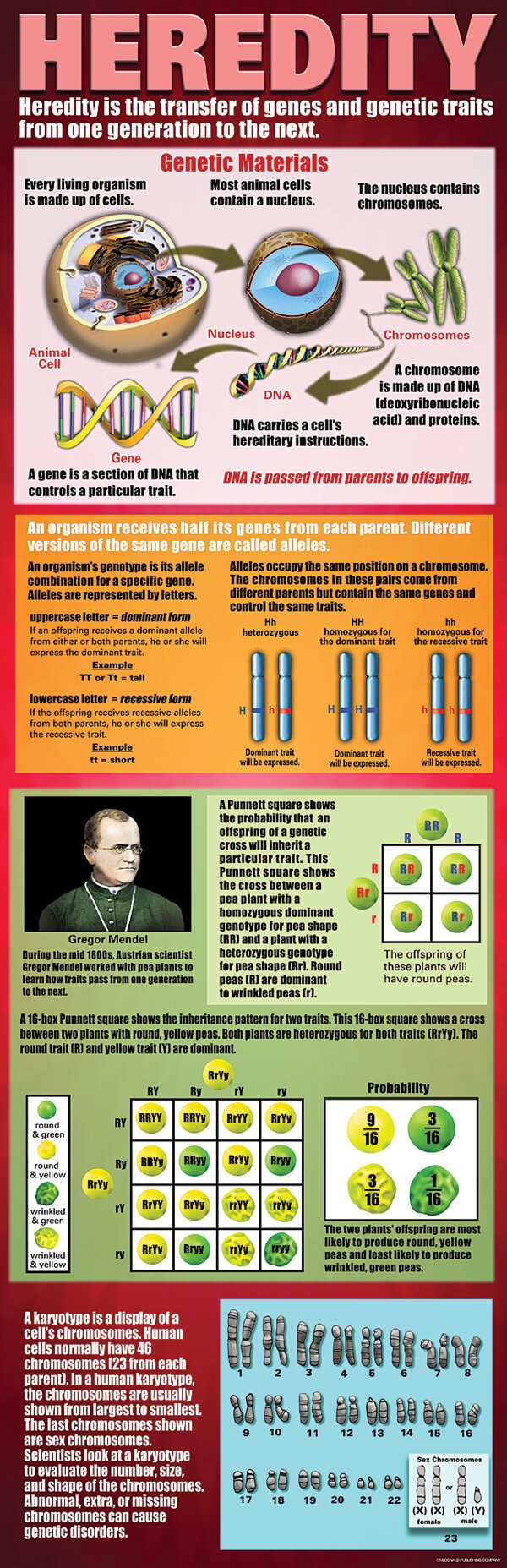 TCRV1708 Heredity Colossal Poster Image