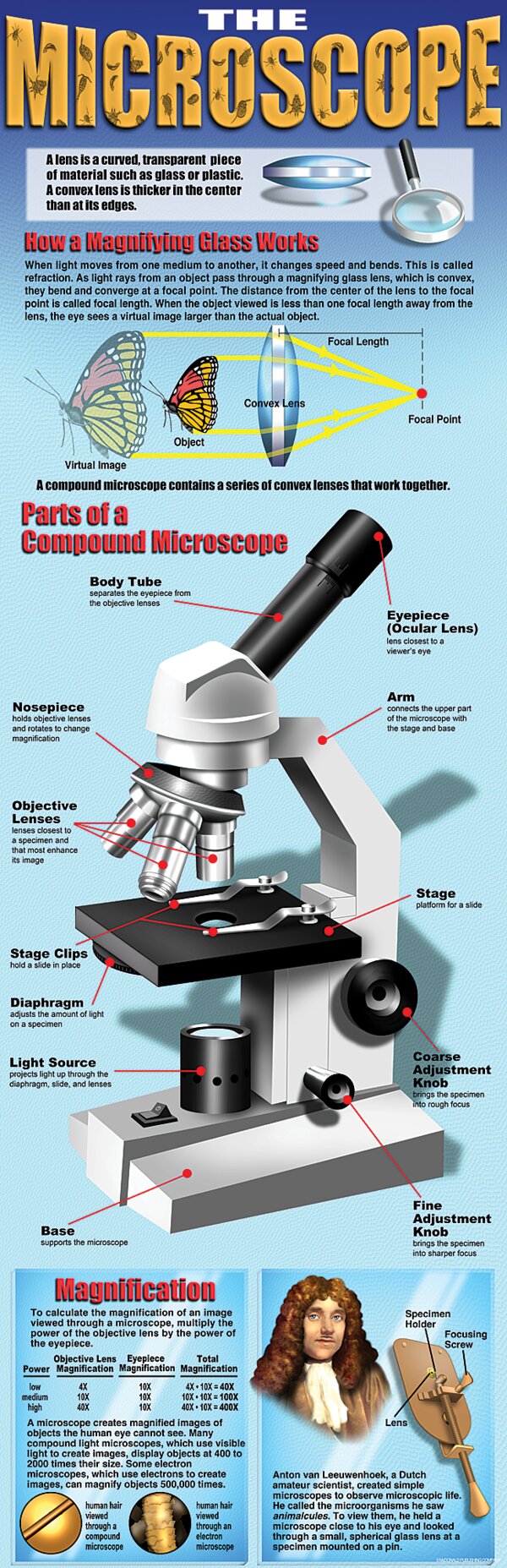 TCRV1711 The Microscope Colossal Poster Image