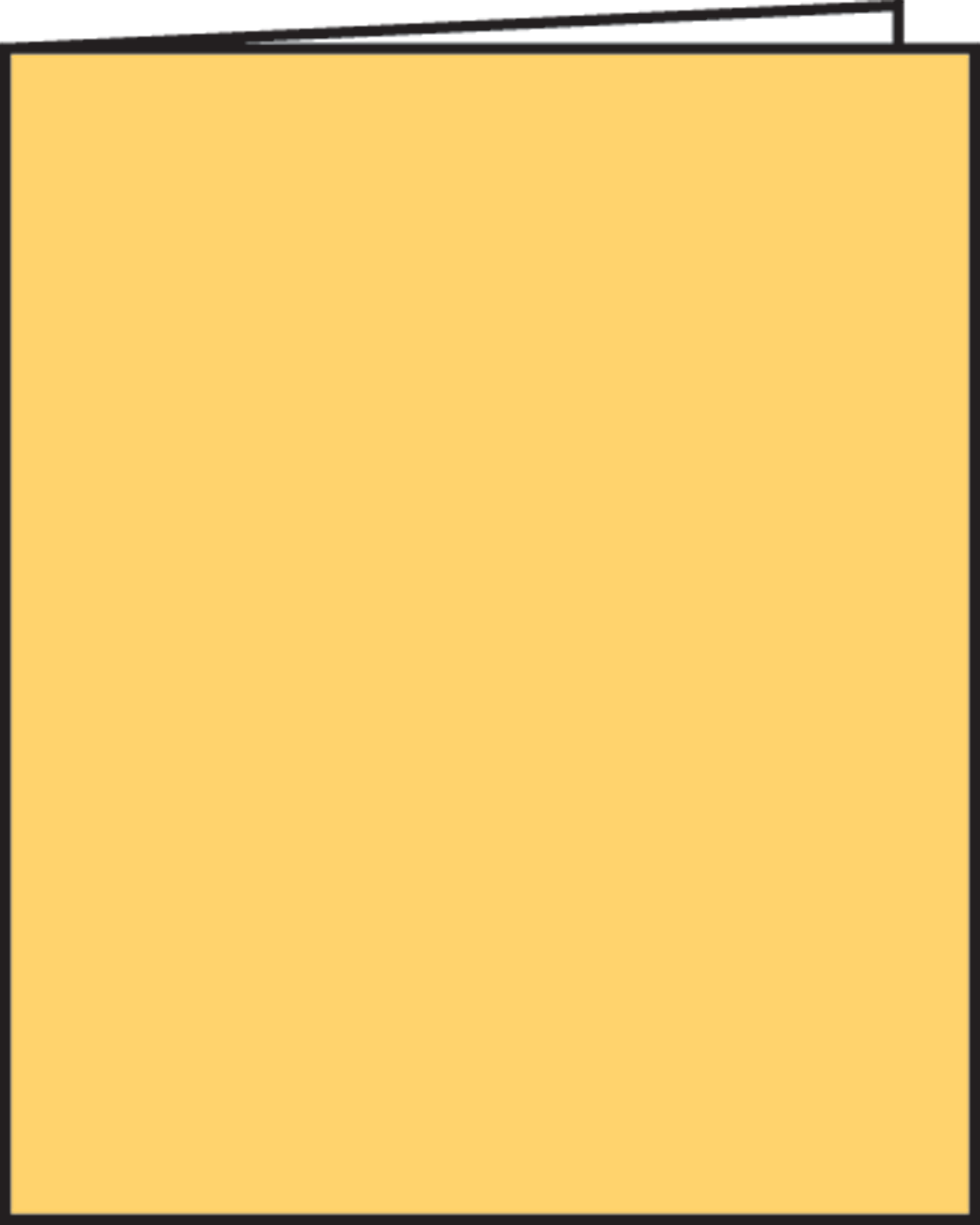 Yellow Blank Book - TCR62838 | Teacher Created Resources