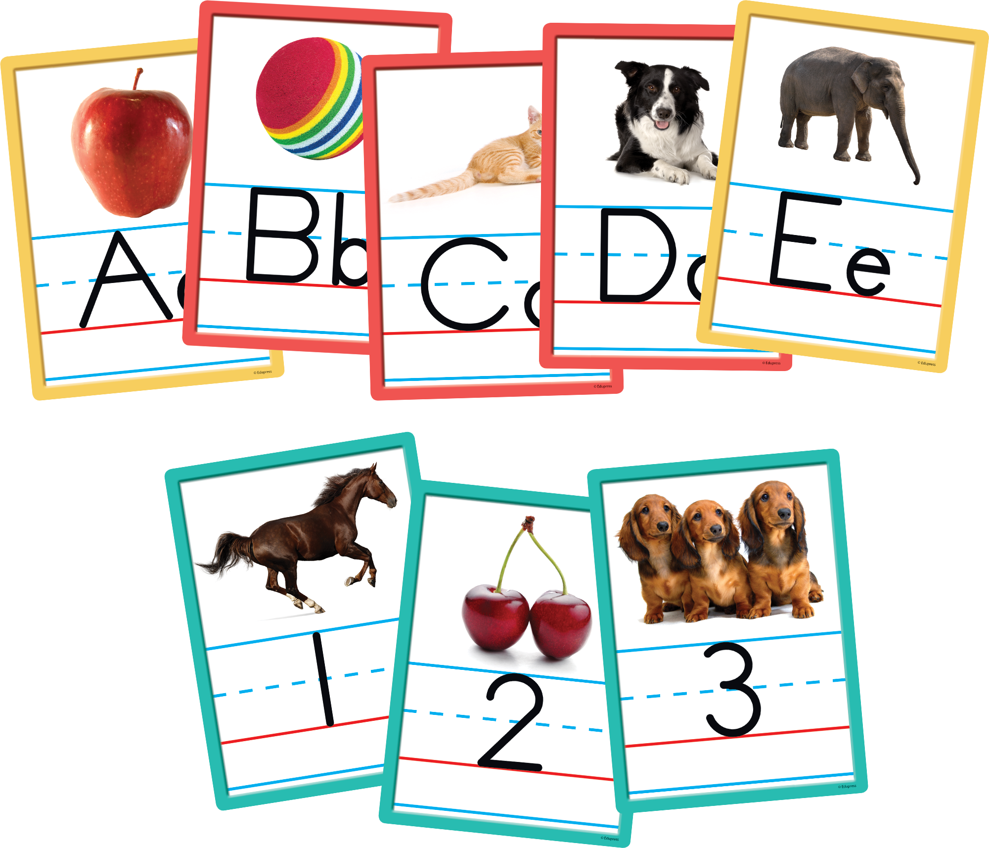 Alphabet and Numbers Accents