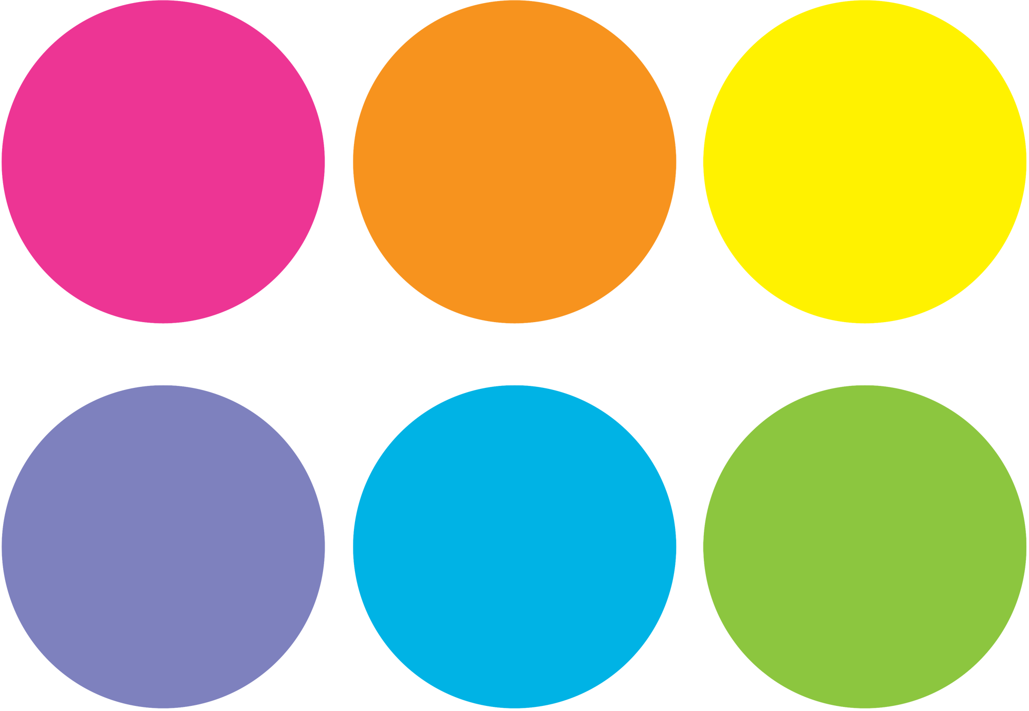 Spot On Carpet Markers Bright Circles - 4
