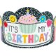 Cool for School It’s My Birthday Crowns Alternate Image A