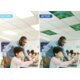 Forest Calming Covers Ceiling Light Filters Alternate Image B