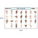 Sign Language Learning Mat Alternate Image SIZE