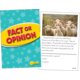 Fact or Opinion Practice Cards Yellow Level Alternate Image A