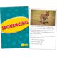 Sequencing Practice Cards Yellow Level Alternate Image A