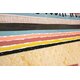 Wonderfully Wild Stripes Straight Border Trim Alternate Image B