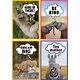 Go Wild Animals Small Poster Pack Alternate Image B