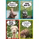 Go Wild Animals Small Poster Pack Alternate Image C