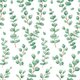 Eucalyptus Peel and Stick Decorative Paper Alternate Image A