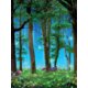 Enchanted Forest Better Than Paper Bulletin Board Roll Alternate Image A