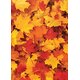 Fall Leaves Better Than Paper Bulletin Board Roll Alternate Image A