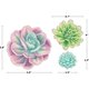 Rustic Bloom Succulent Accents - Assorted Sizes Alternate Image SIZE