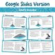 Birth of an Island - Reading Comprehension Activity Google Slides Alternate Image A