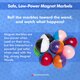 Simply Science® Magnet Mania Kit Alternate Image D