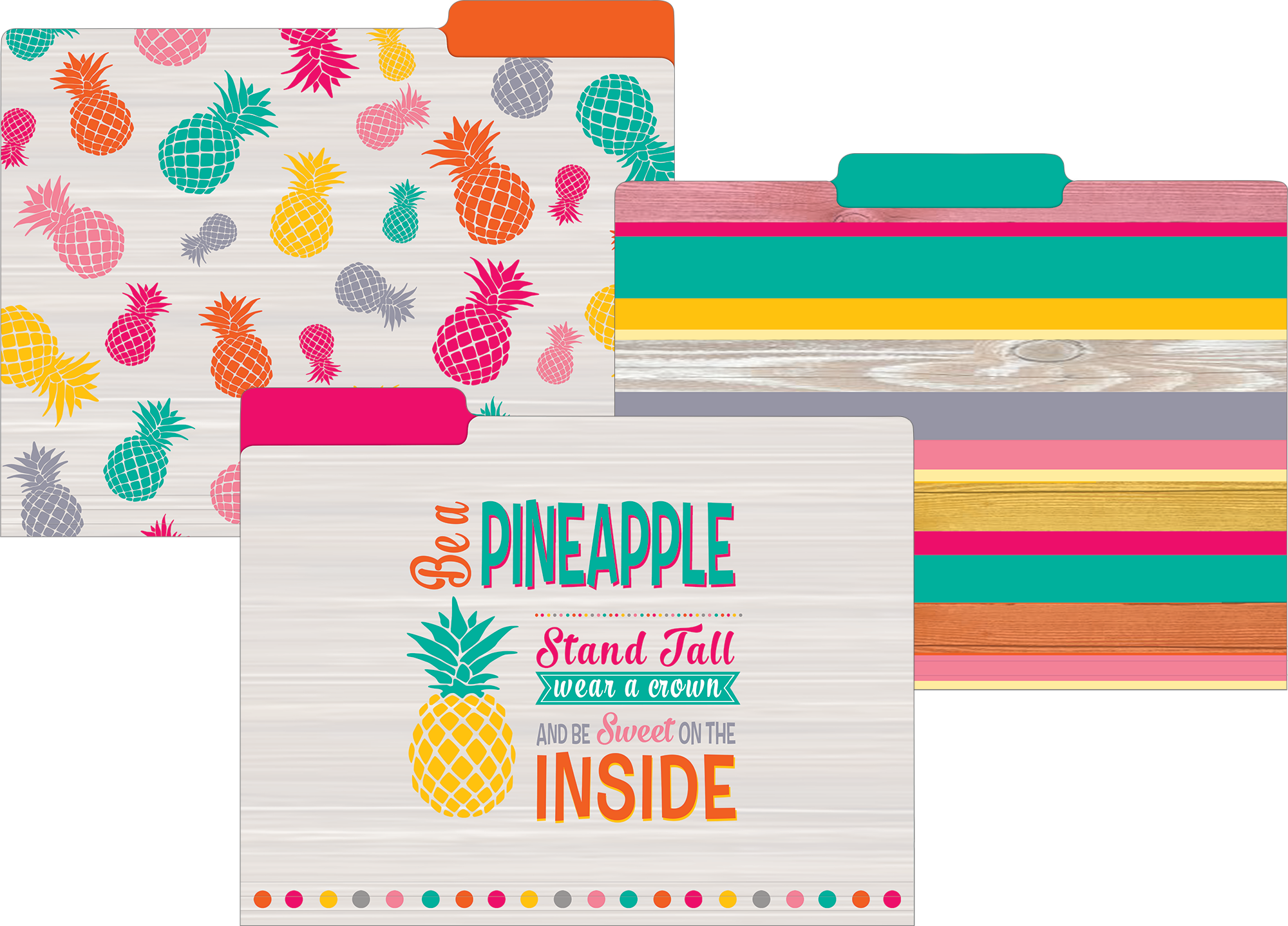 Tropical Punch File Folders Tcr8538 Teacher Created Resources