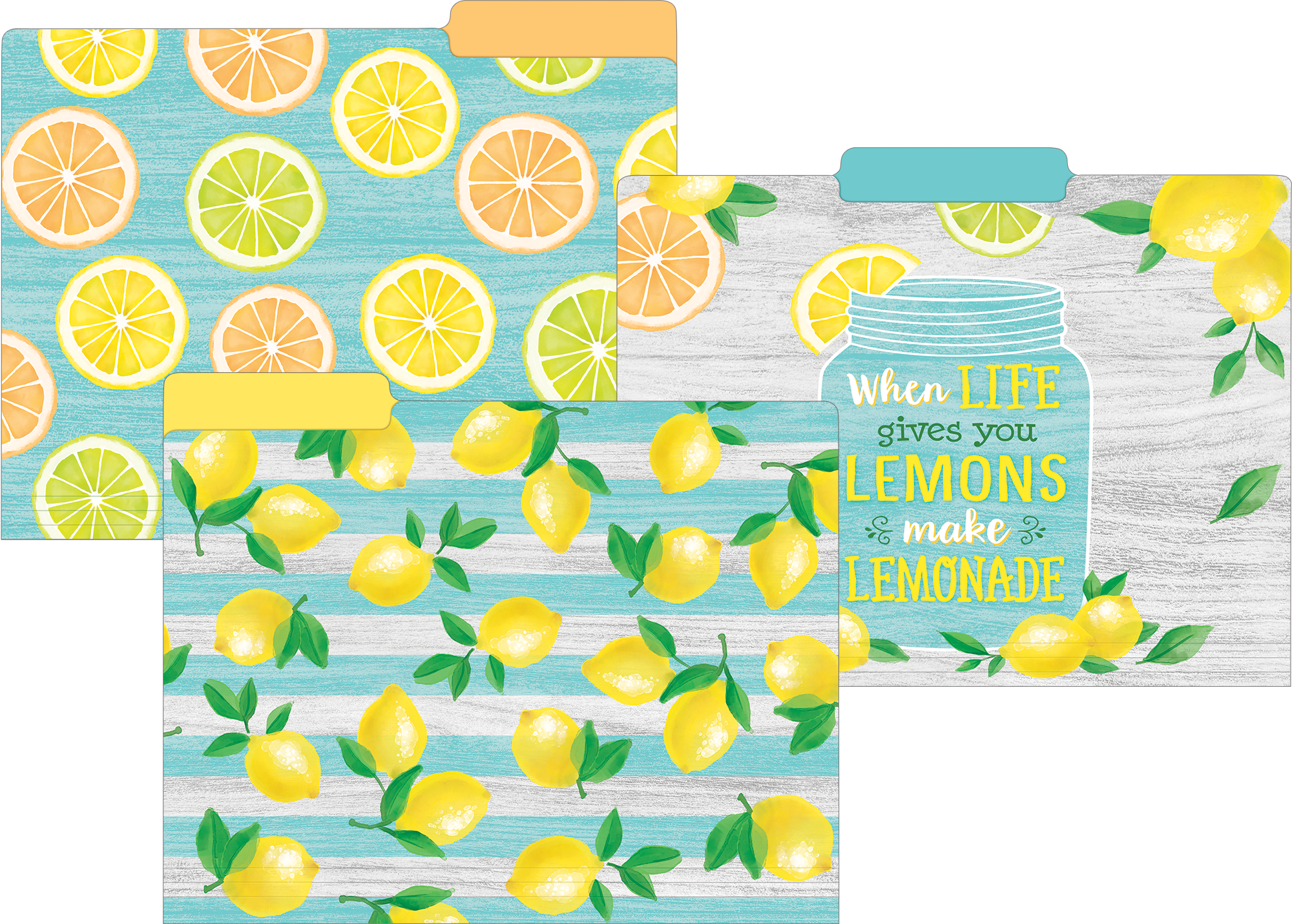 Lemon Zest File Folders - TCR8542 | Teacher Created Resources