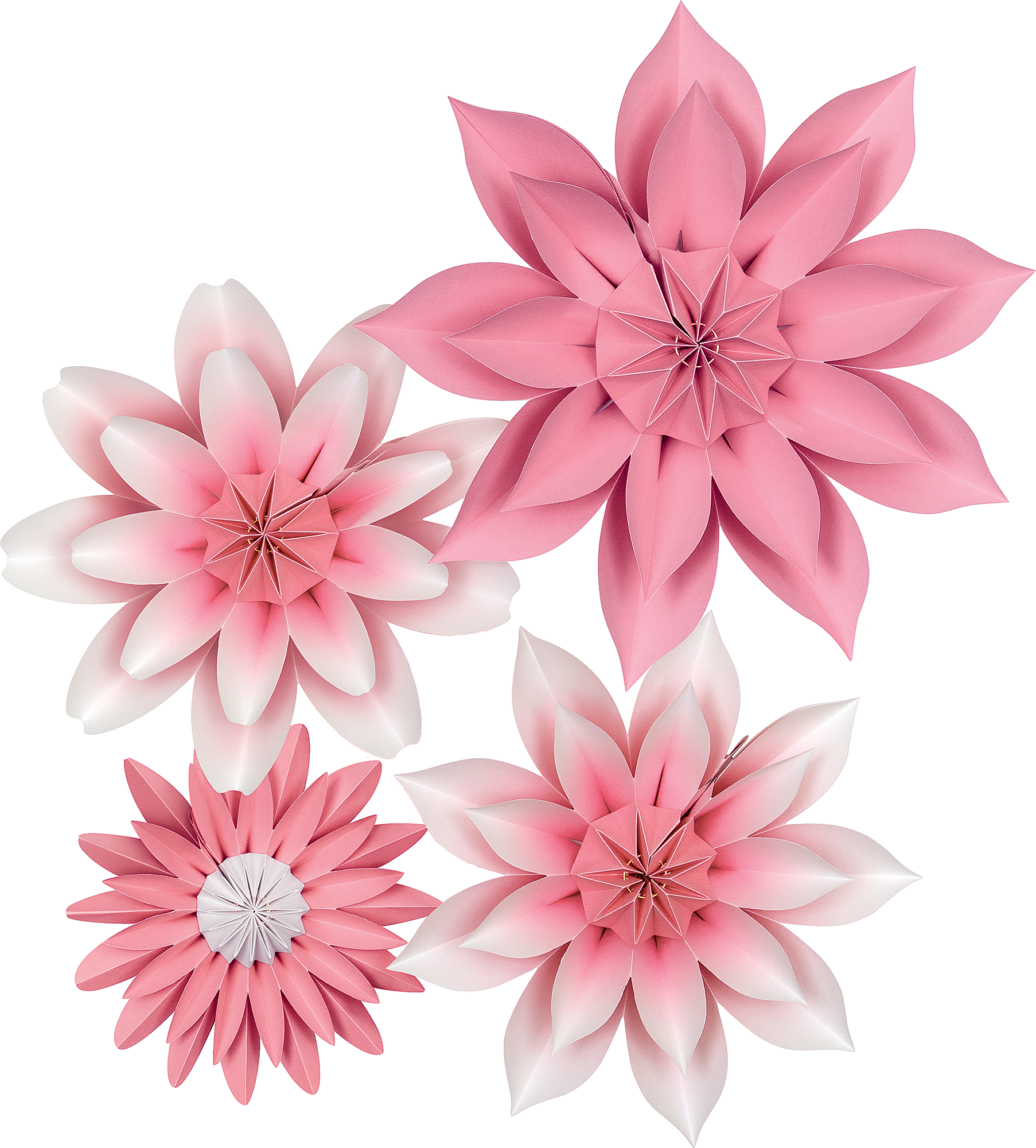 Pink Blossoms Paper Flowers Tcr8543 Teacher Created Resources