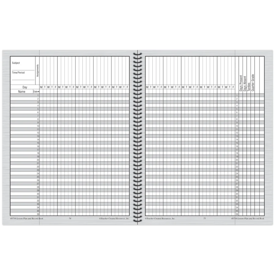 Chalkboard Brights Lesson Plan and Record Book product image 4