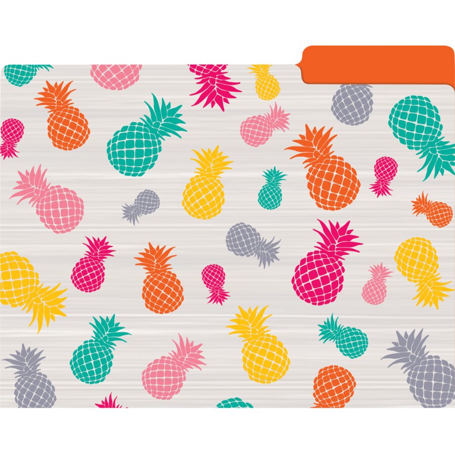 Tropical Punch File Folders - TCR8538 | Teacher Created Resources