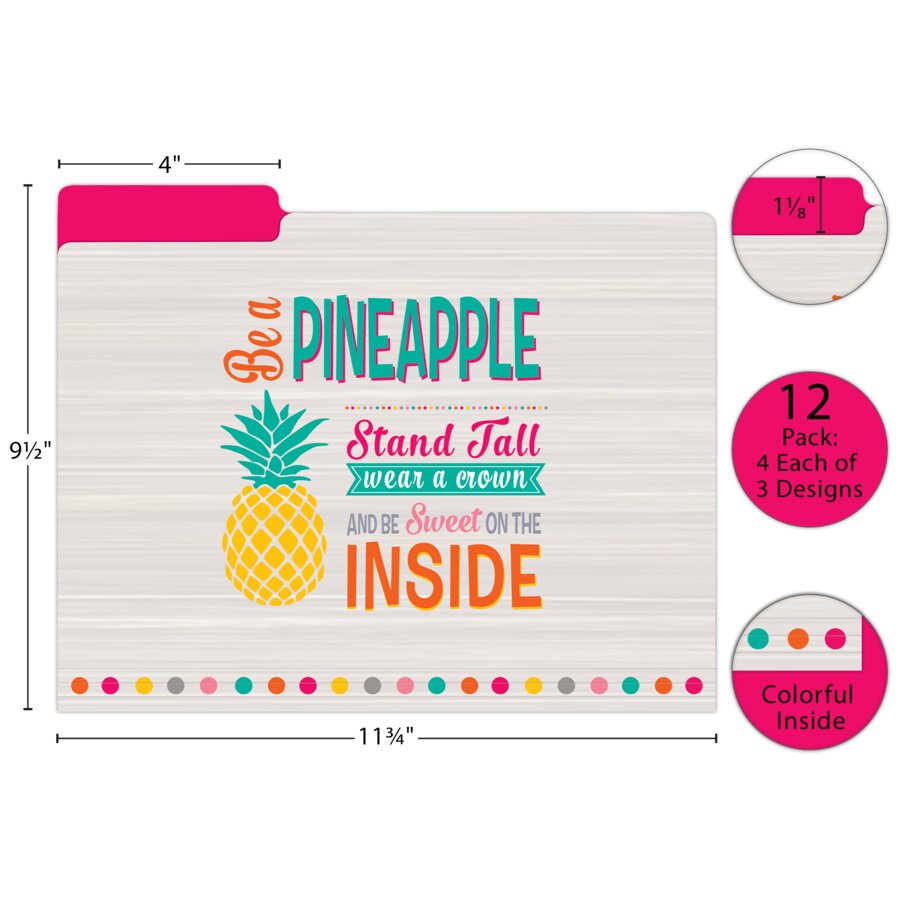 Tropical Punch File Folders - TCR8538 | Teacher Created Resources