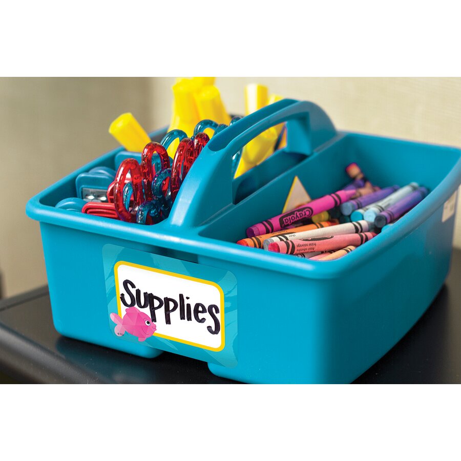 Fish Tag Labels Colorful Fish Name Tags/Labels - Multi-Pack - TCR8558 | Teacher Created ...